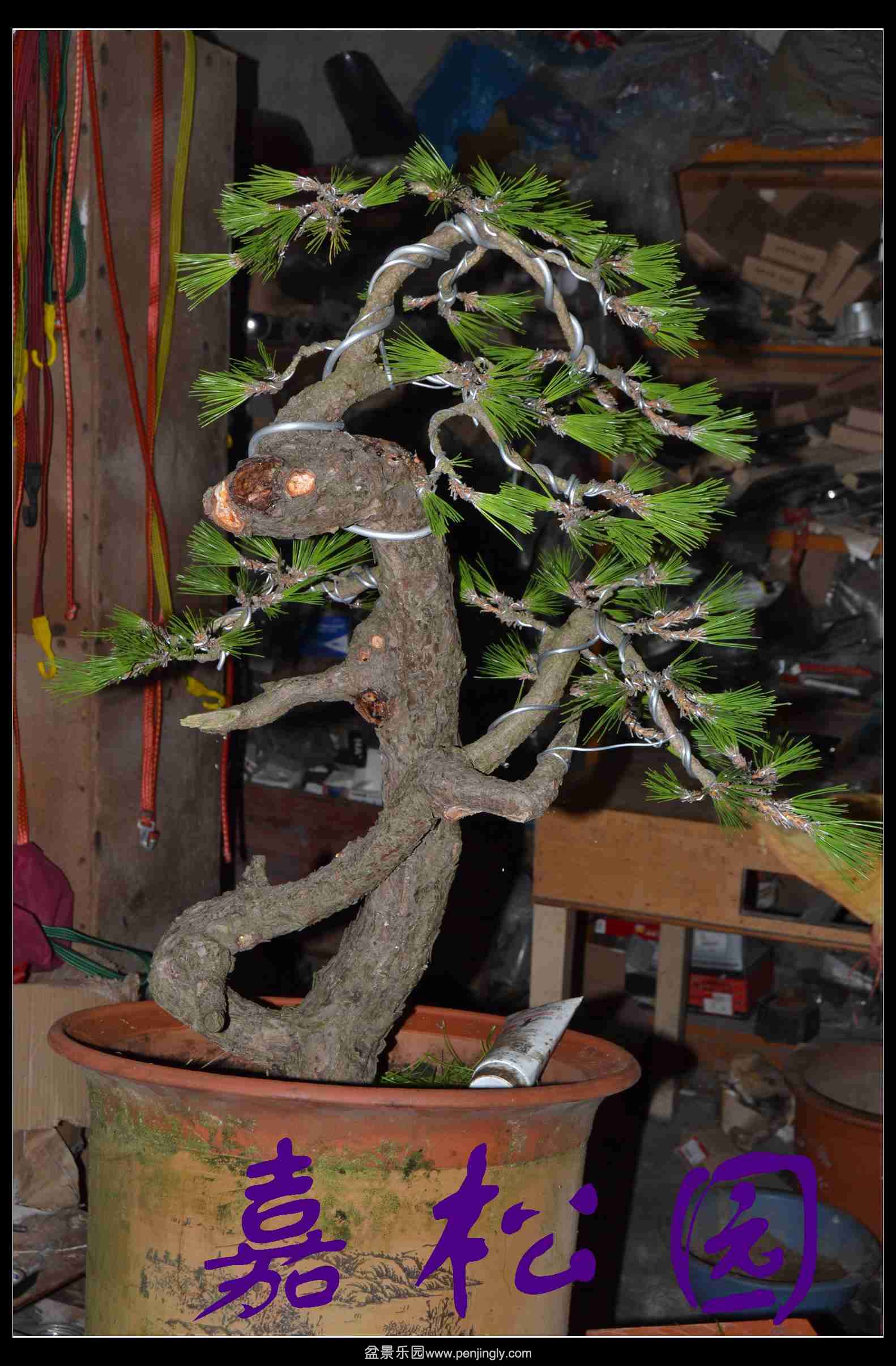 ���� 001.JPG