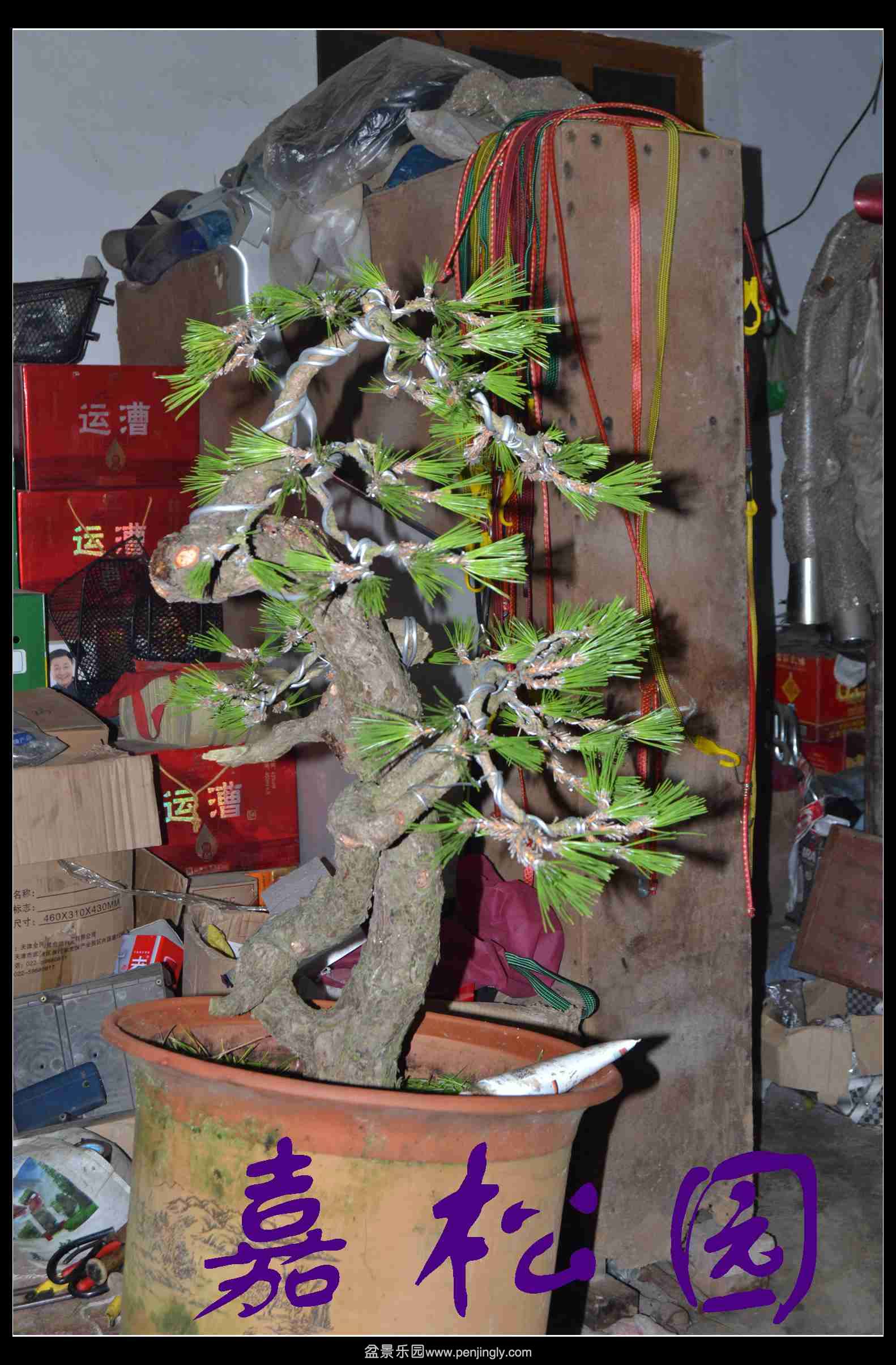 ���� 002.JPG