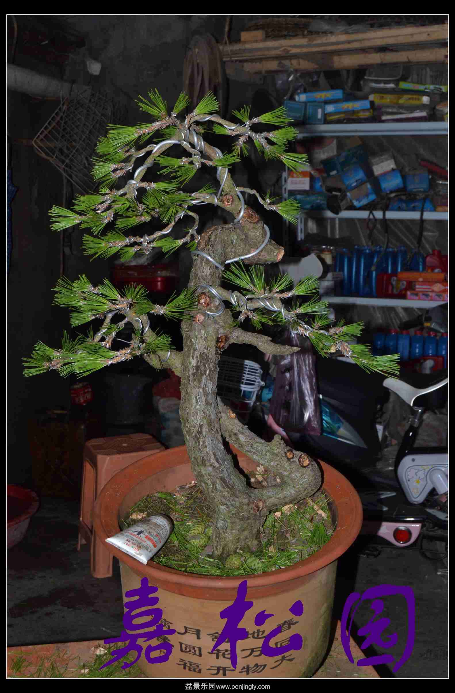 ���� 004.JPG