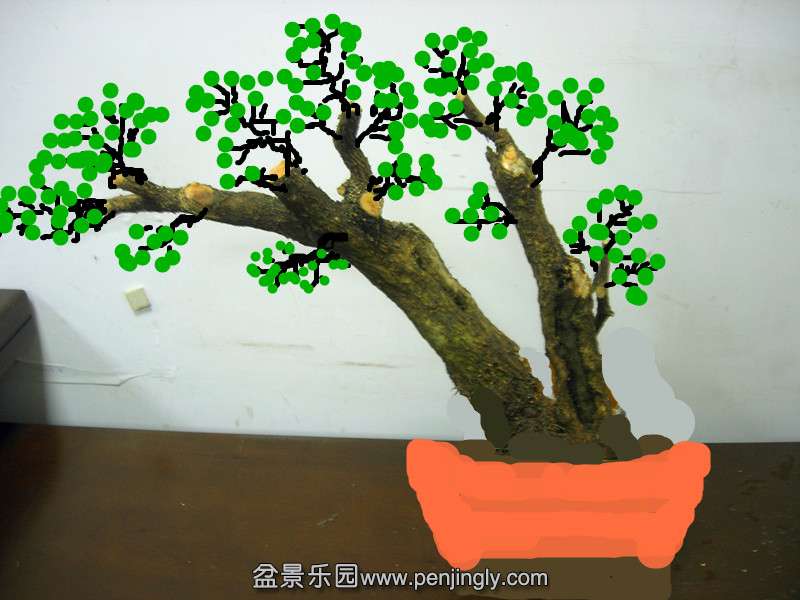 DSCN6313__.jpg