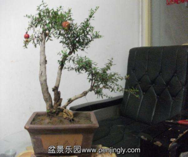 DSCF2738.JPG