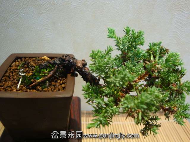 DSC08728.JPG