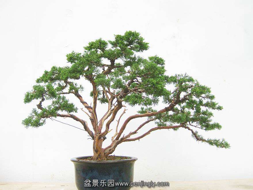 20090811_1321283b3df53ec762ceGQsHM7lGdxkf.jpg