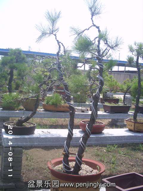PHOT0317.JPG