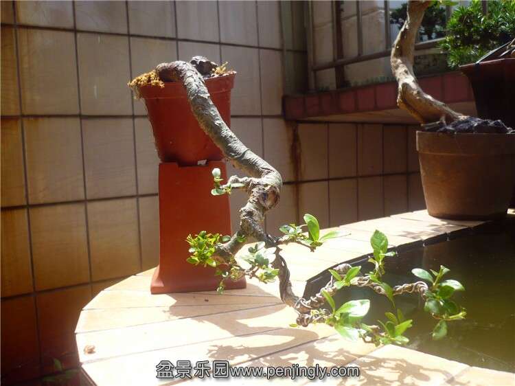 QQͼƬ20140822145506.jpg