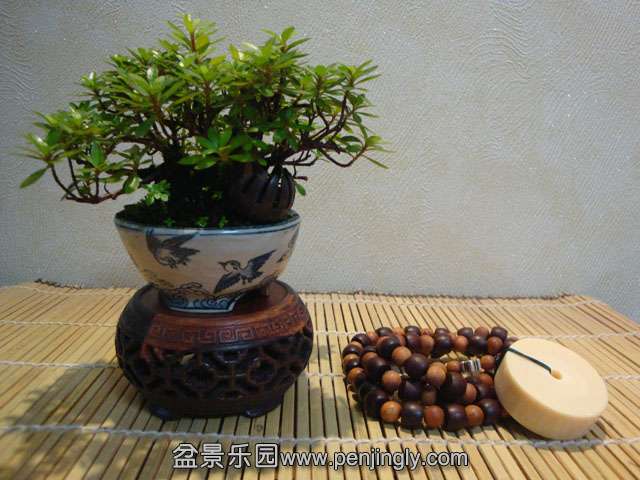 DSC08703.JPG
