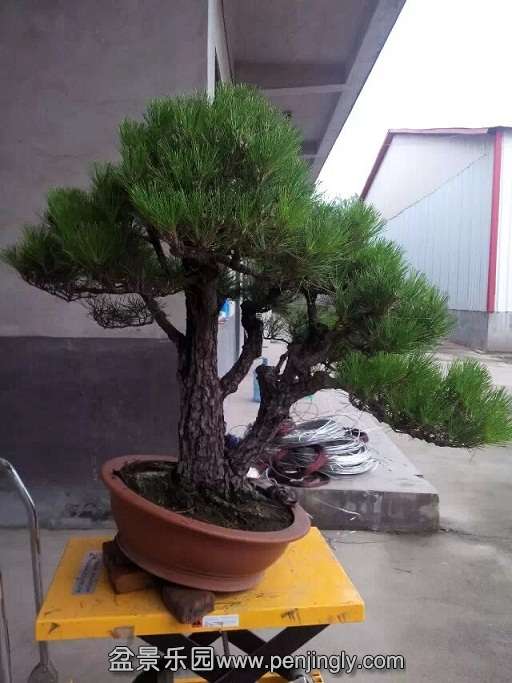 QQͼƬ20140825113938.jpg