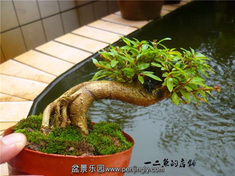 QQͼƬ20140826165959.jpg