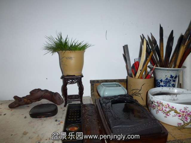 P1050651.JPG