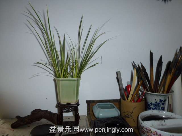 P1050652.JPG