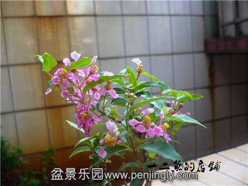 QQͼƬ20140827173036.jpg