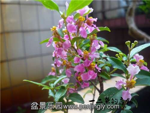 QQͼƬ20140827173045.jpg
