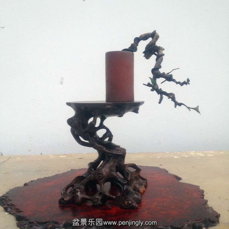 QQͼƬ20140827201139.jpg