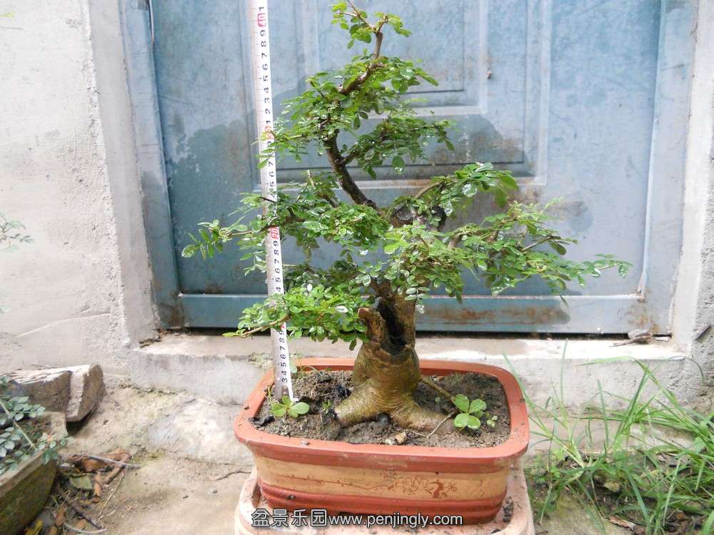 DSCN7503.JPG