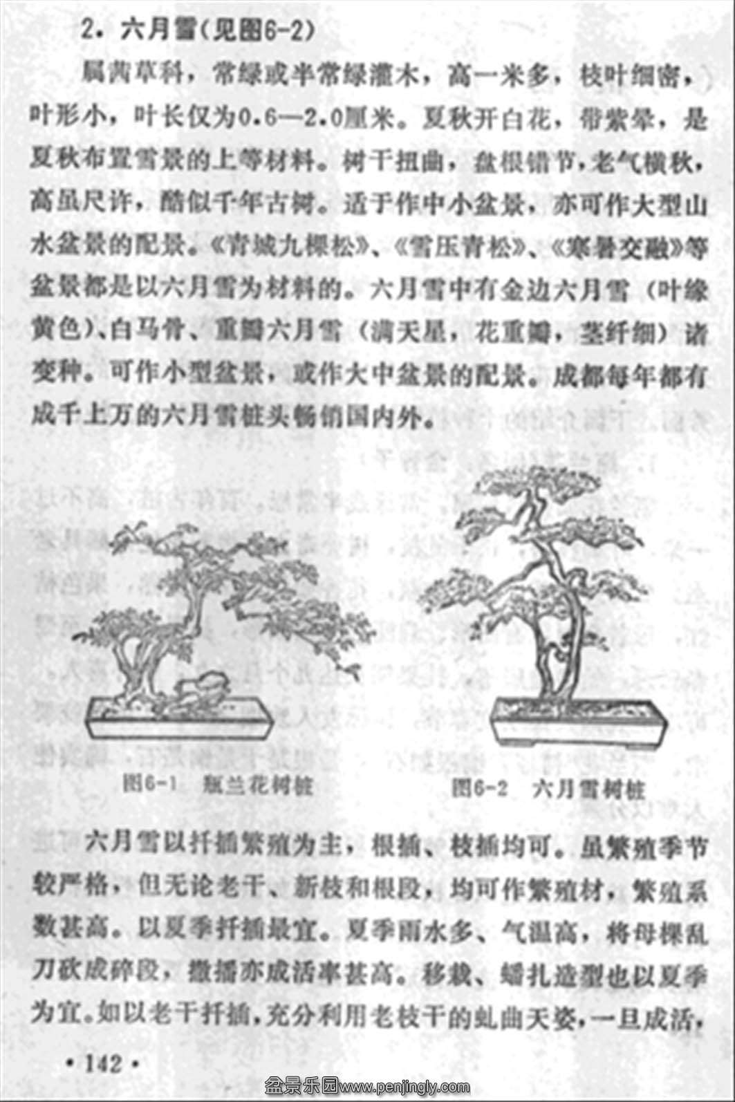 ˴𡶳ɶ辰142.jpg