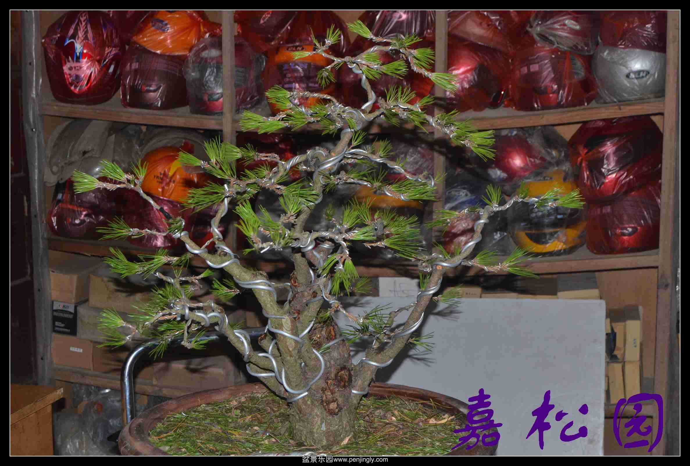 ���ö�˺��� 003.JPG