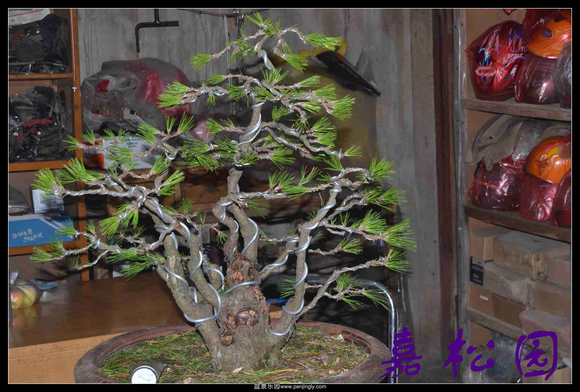 ���ö�˺��� 004.JPG