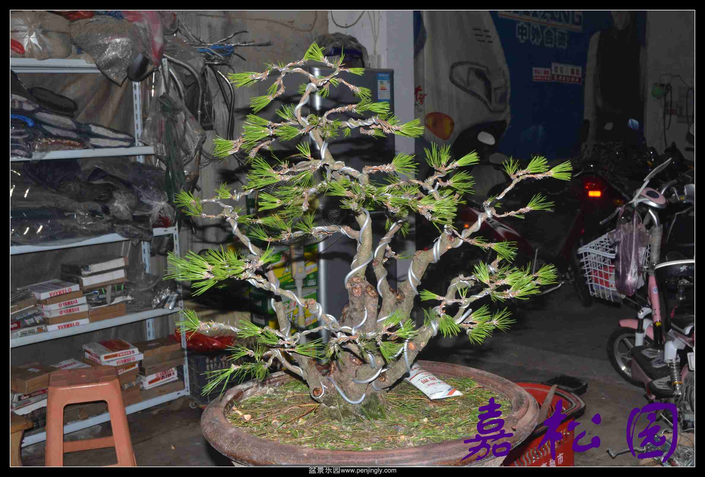 ���ö�˺��� 007.JPG