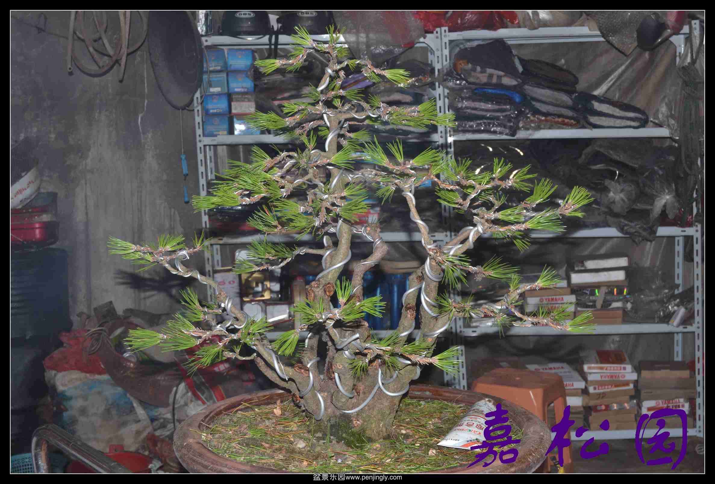 ���ö�˺��� 009.JPG