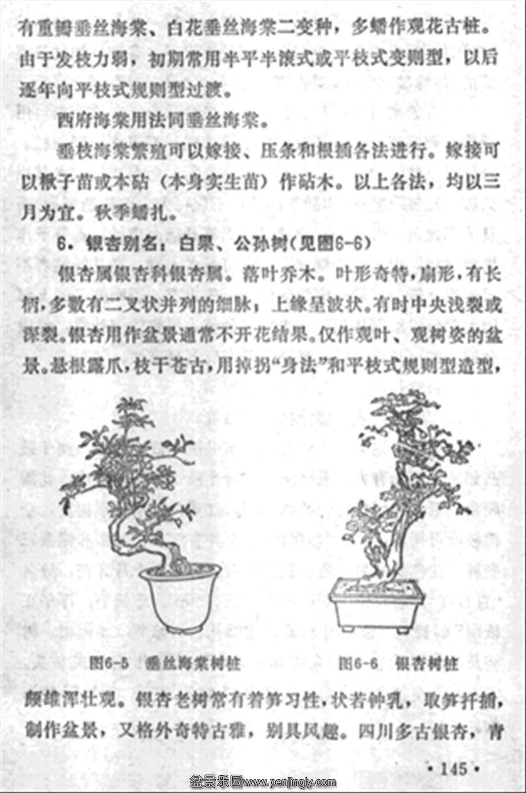 ˴𡶳ɶ辰145.jpg