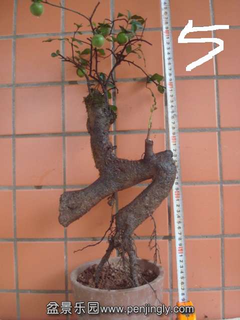 DSC06203.JPG