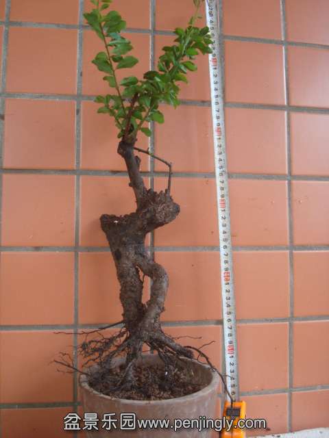 DSC06213.JPG