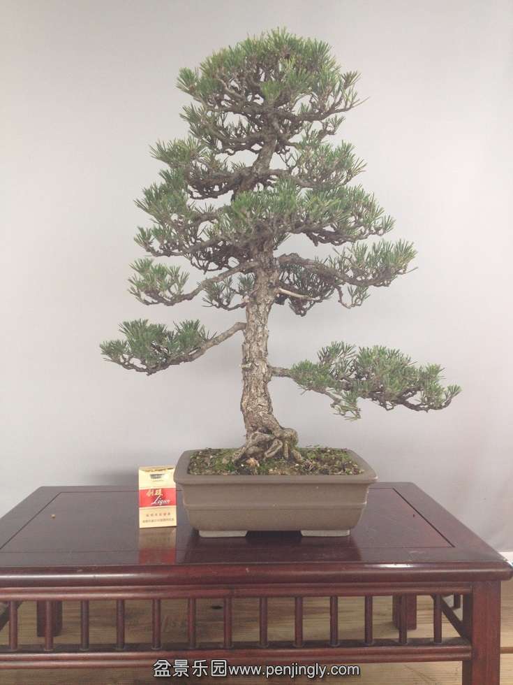 �����60cm����5cm