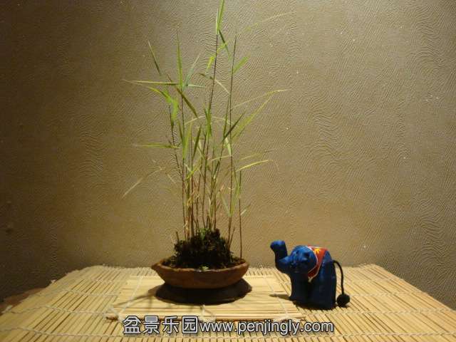 DSC08819.JPG
