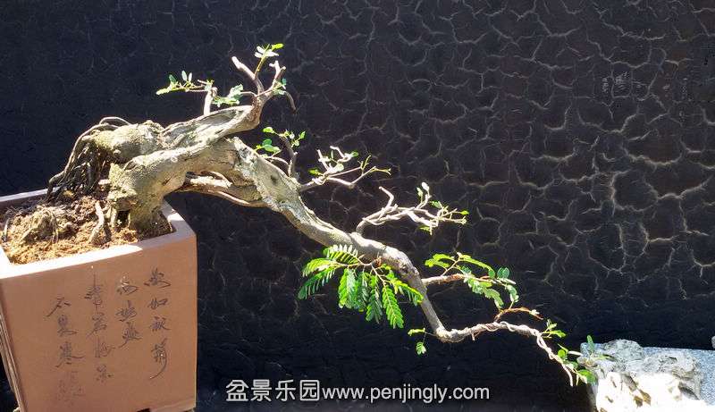 20140830_110506.jpg