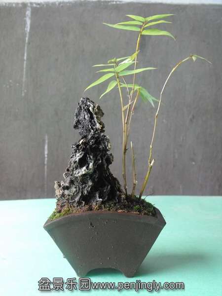 DSCF0092_С.JPG