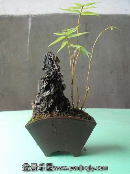 DSCF0090_С.JPG