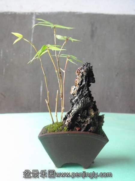 DSCF0091_С.JPG