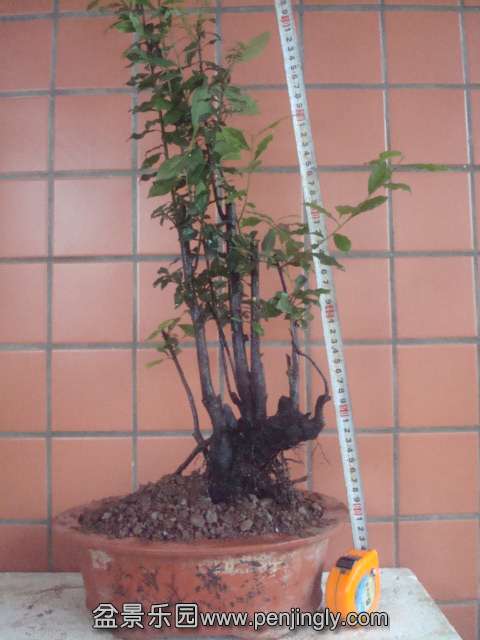 DSC06229.JPG