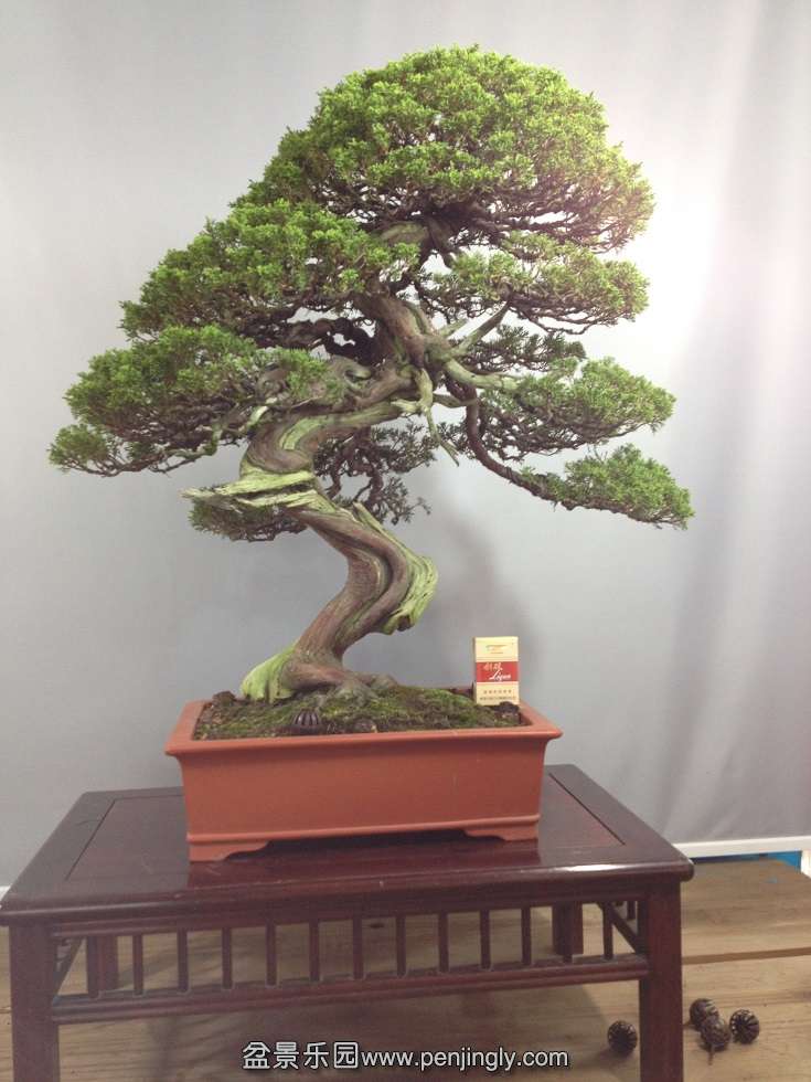 1�ţ������80cm����80cm