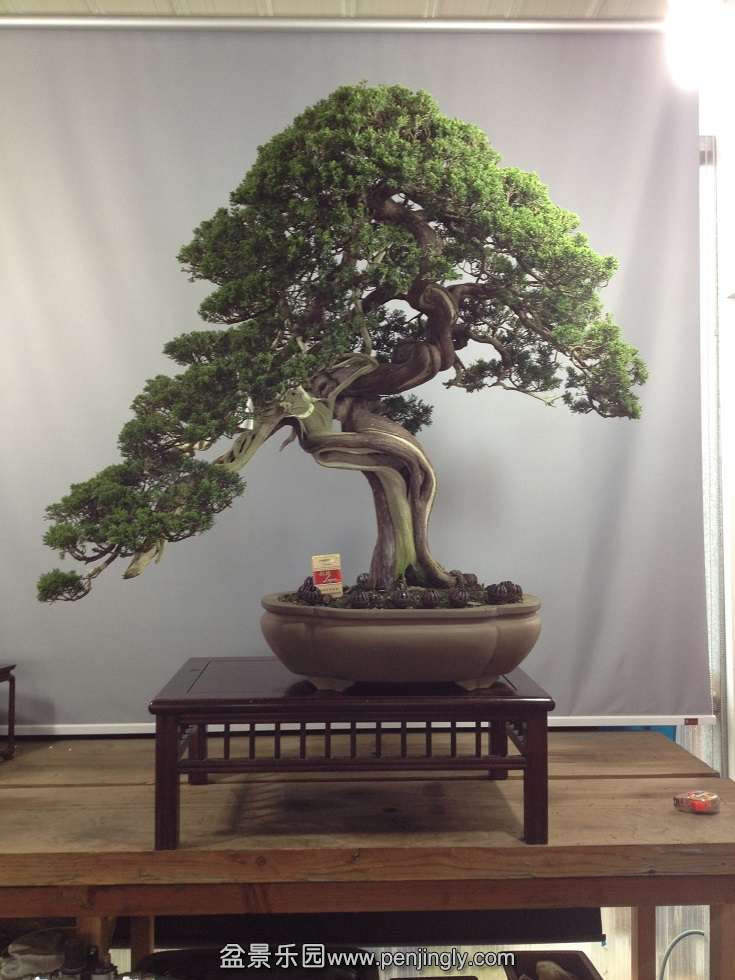 2�ţ������100cm����100cm