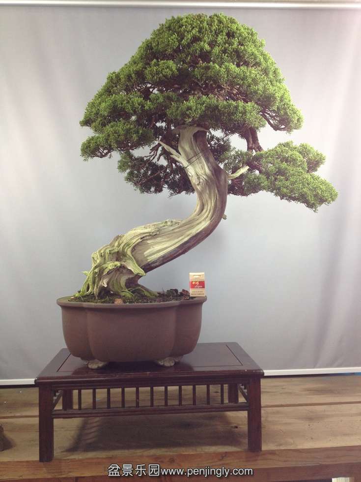 3�ţ������100cm����100cm