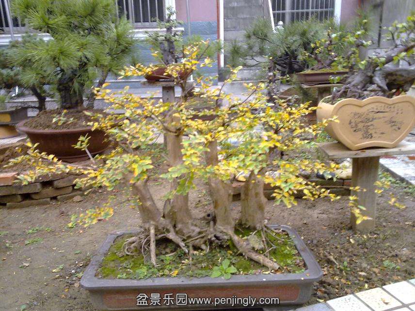 20111104485.jpg