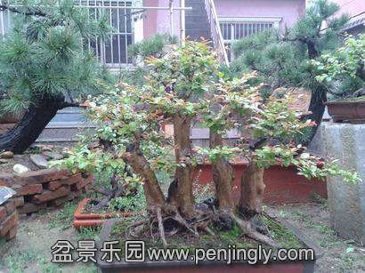 20140417_072610.jpg