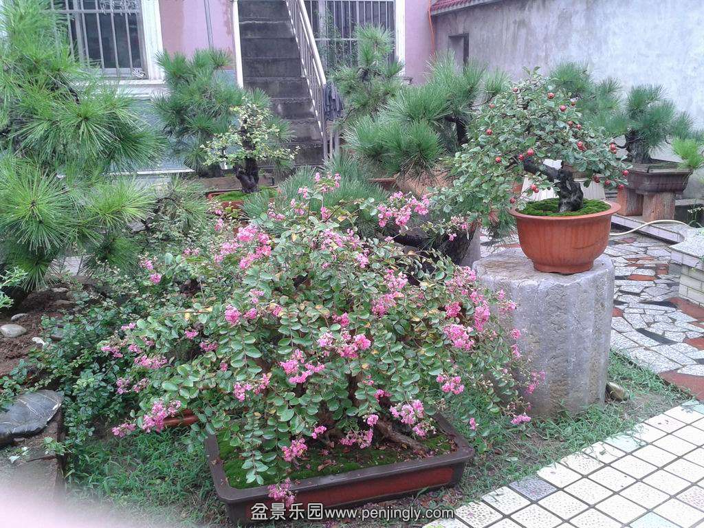 20140831_092421.jpg