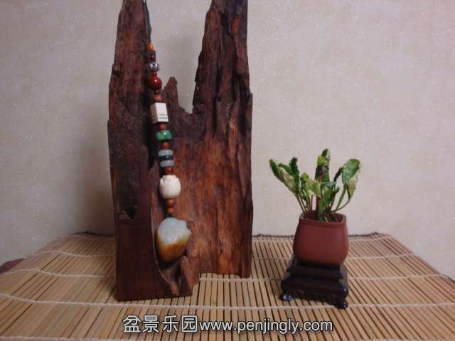 DSC08824.JPG