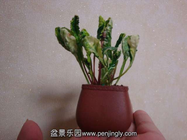 DSC08827.JPG