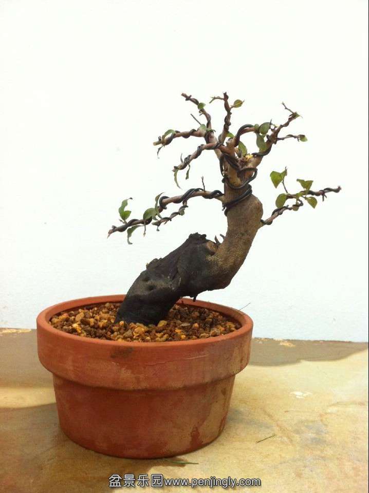 QQͼƬ20140830200242.jpg