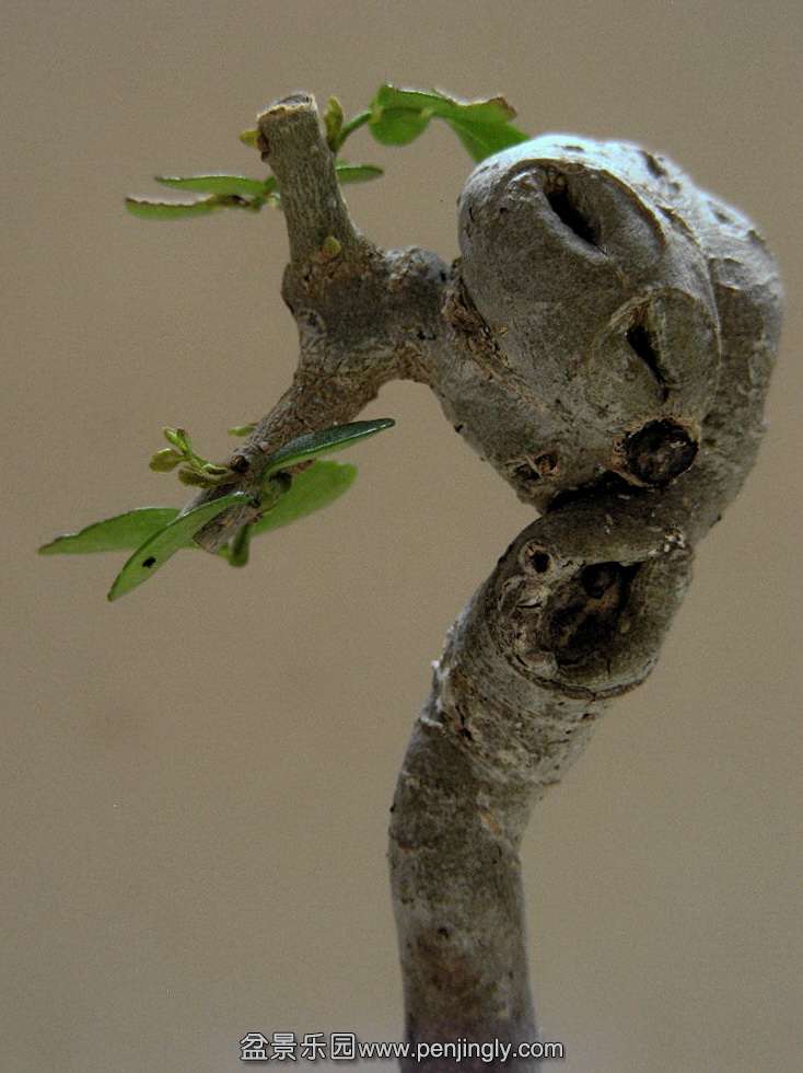 b3.jpg