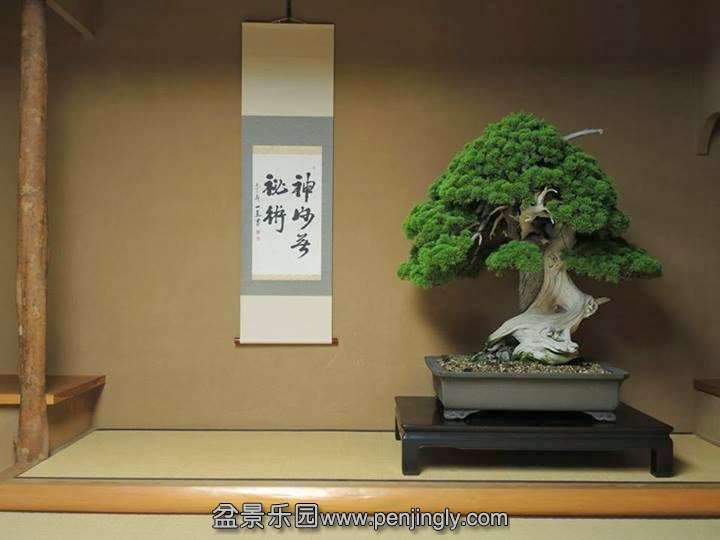(#3) 800 Year old tree, at Shunka-en, by Kunio Kobayashi.jpg