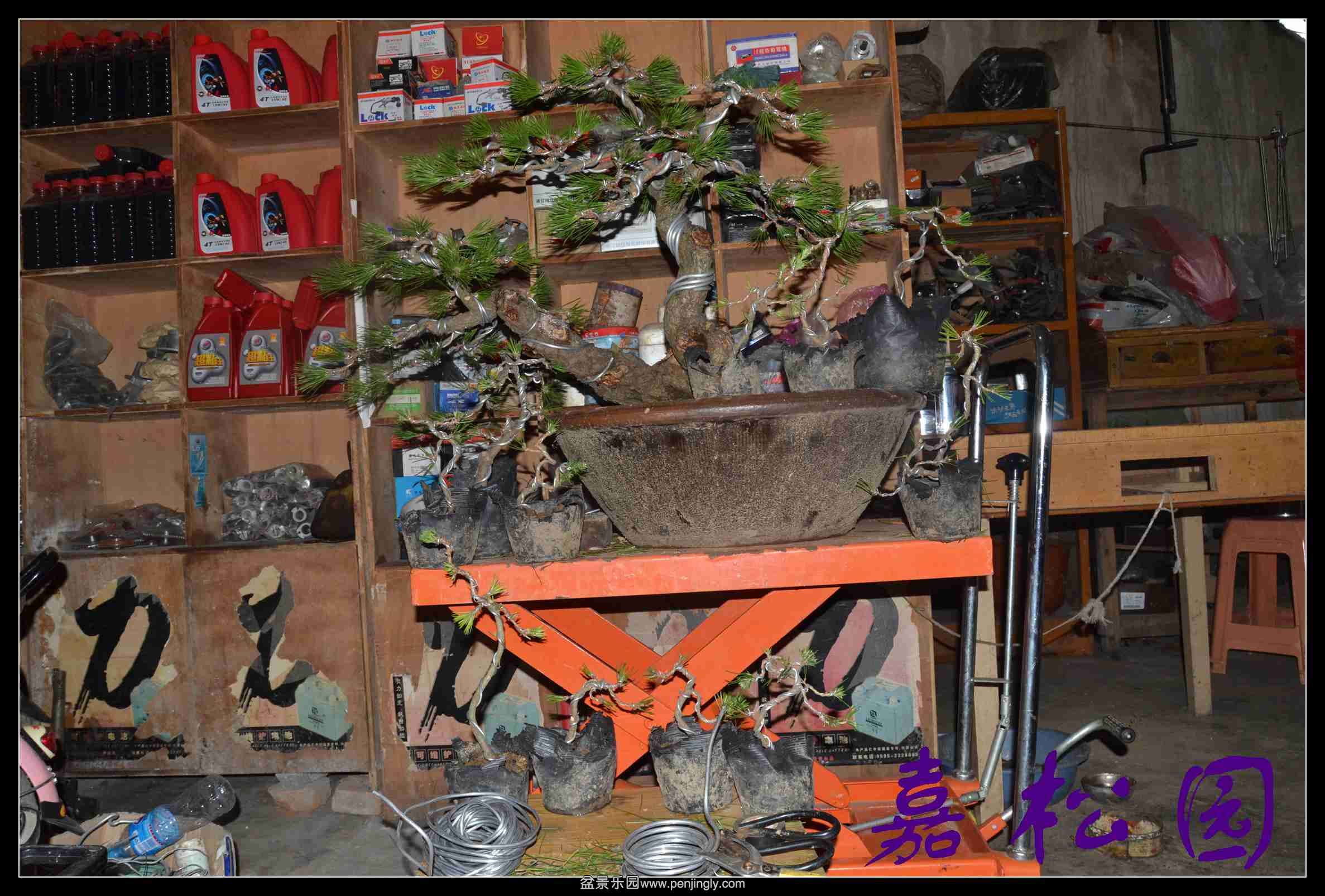 һ��С���� 001.JPG