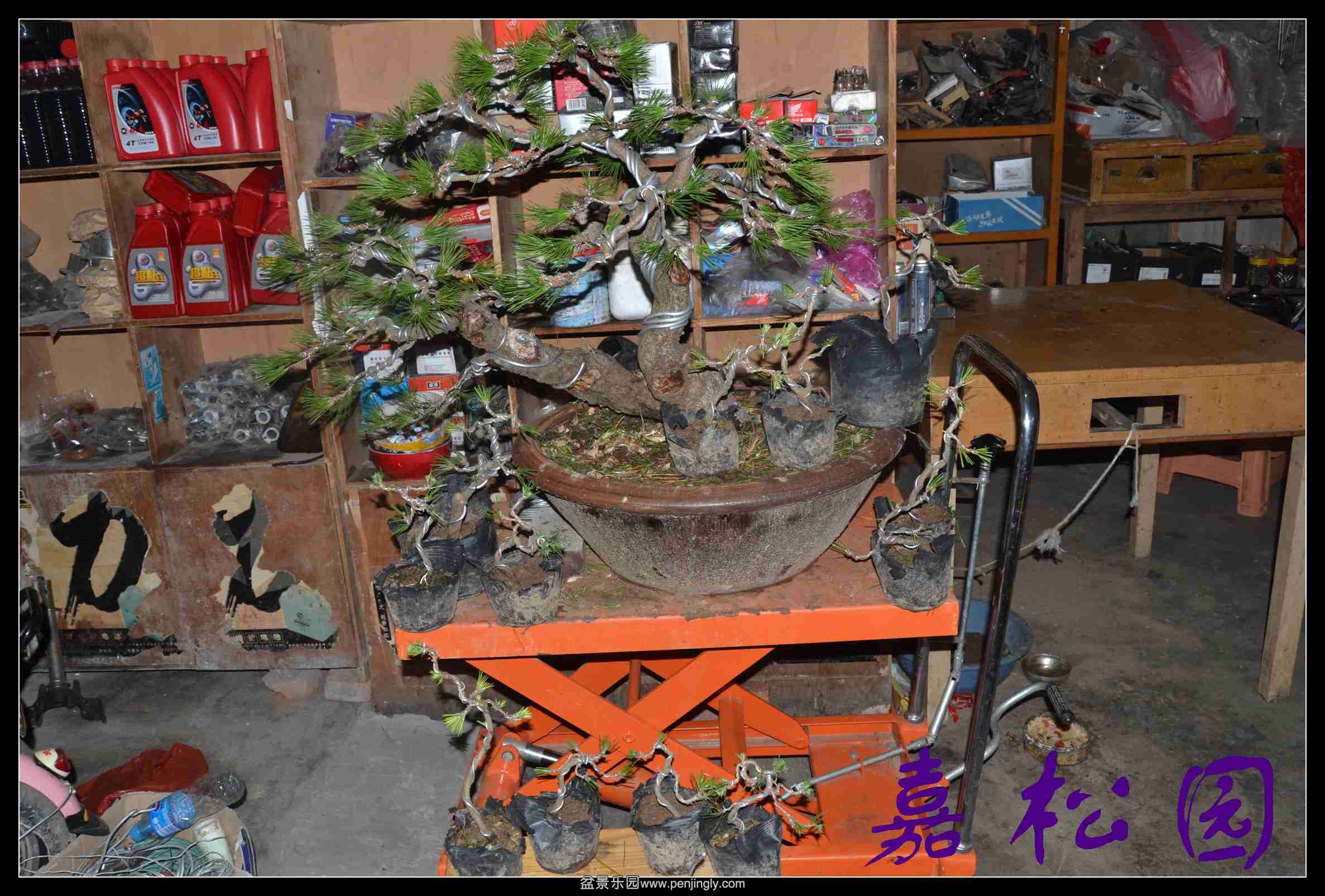 һ��С���� 002.JPG