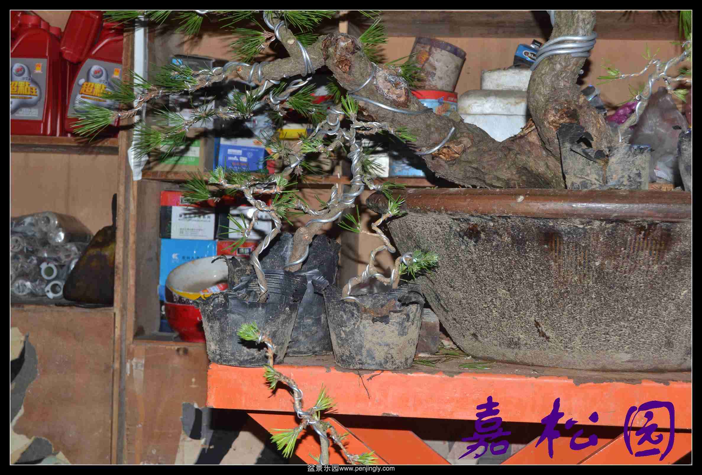 һ��С���� 004.JPG