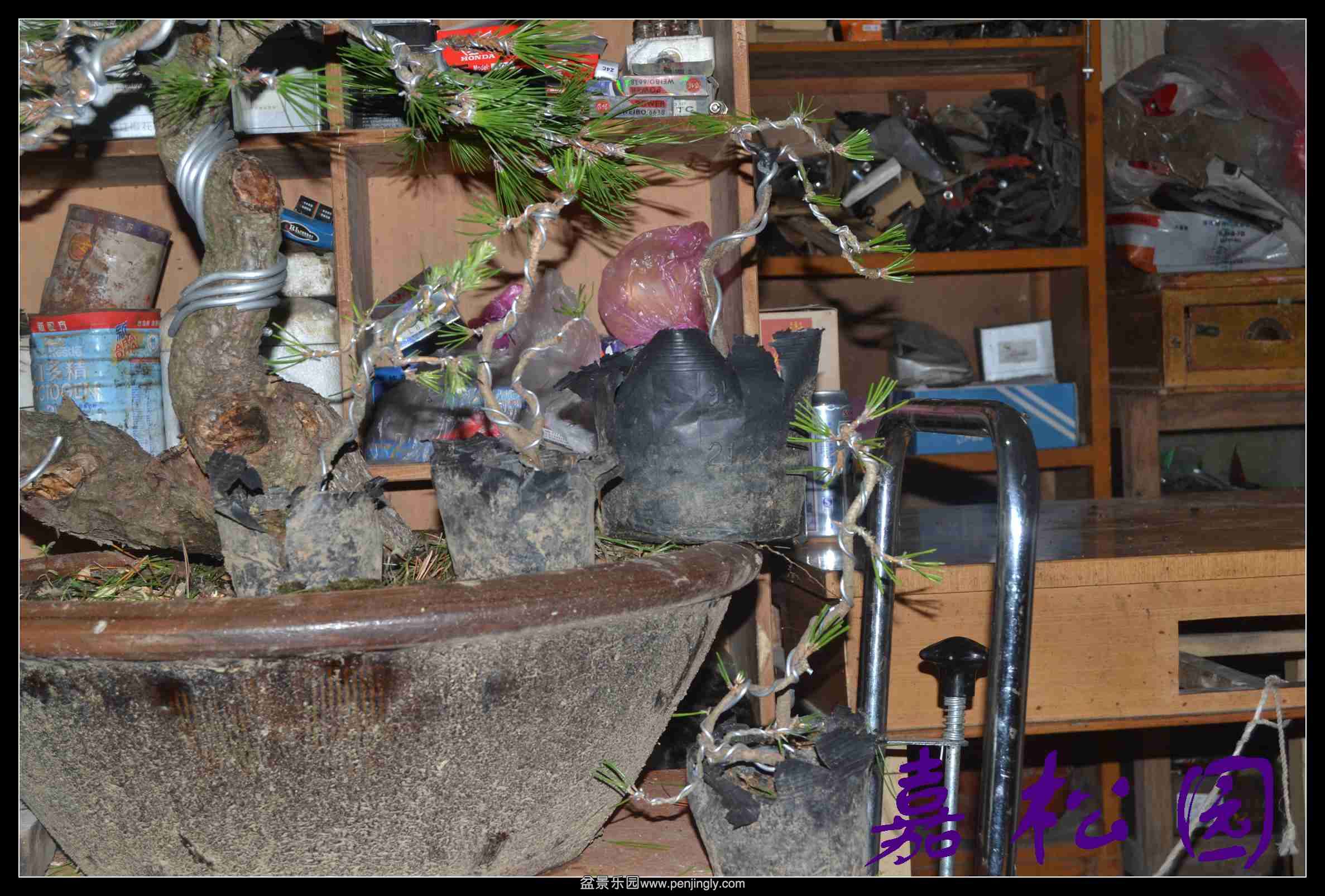 һ��С���� 005.JPG