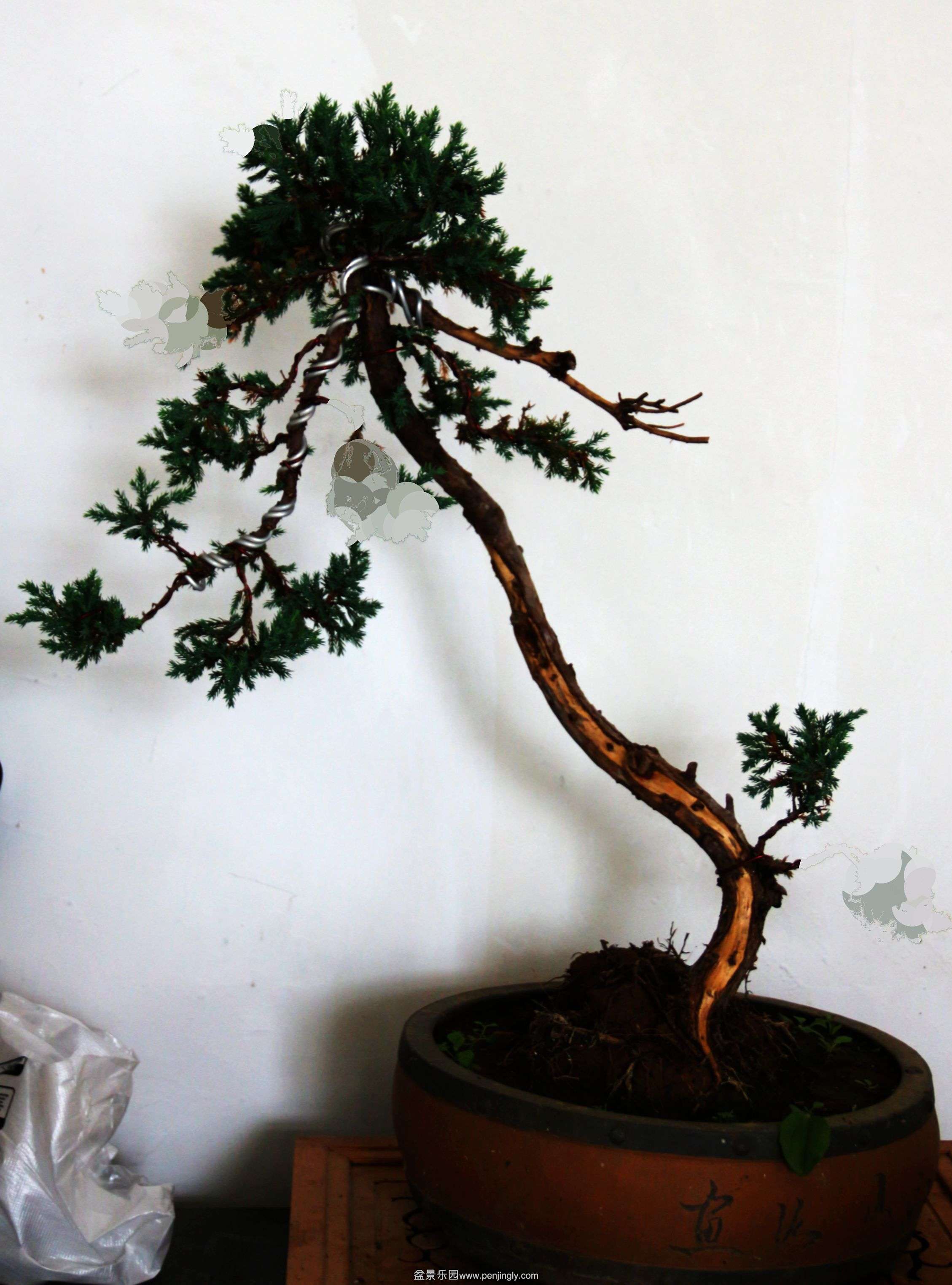 ����һ�Ű�