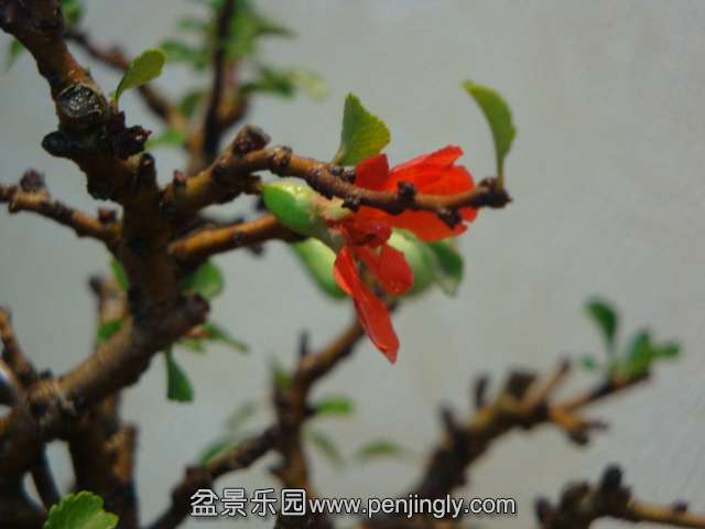 DSC08734.JPG